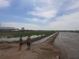  Grundstück zu verkaufen in Bang Bua Thong, Nonthaburi, Lam Pho, Bang Bua Thong