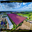 ขายที่ดิน ใน นิคมพัฒนา ระยอง, มะขามคู่, นิคมพัฒนา, ระยอง