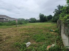  Land for sale in Don Kaeo, Saraphi, Don Kaeo