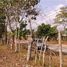  Land for sale in Cocle, Toabre, Penonome, Cocle