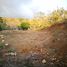  Land for sale in Tilaran, Guanacaste, Tilaran