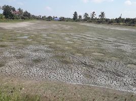  Grundstück zu verkaufen in Bang Sao Thong, Samut Prakan, Sisa Chorakhe Noi, Bang Sao Thong, Samut Prakan