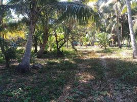  Land for sale in Laem Panwa, Wichit, Wichit