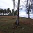  Land for sale in Nakhon Si Thammarat, Sao Phao, Sichon, Nakhon Si Thammarat