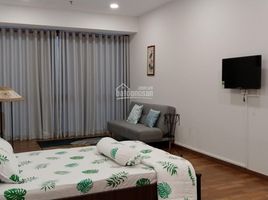 Studio Condo for rent at Chung cư Mỹ Phước, Ward 2