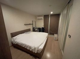1 Schlafzimmer Wohnung zu verkaufen im Tree Condo Sukhumvit 42, Phra Khanong