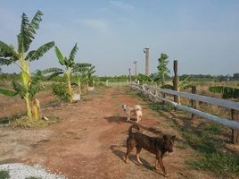  Land for sale in Chai Wan, Udon Thani, Chai Wan, Chai Wan