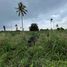  Land for sale in Chon Buri, Pong, Pattaya, Chon Buri