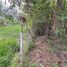  Land for sale in Ban Mai, Nonthaburi, Ban Mai, Pak Kret