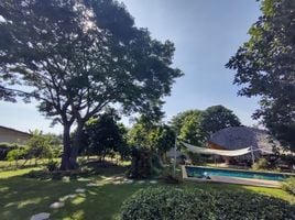 6 Bedroom Villa for rent in San Pa Tong Chiang Mai, San Klang, San Pa Tong, Chiang Mai