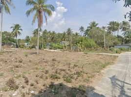  Land for sale in Phuket International Airport, Mai Khao, Mai Khao