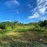  Land for sale in Pa Phayom, Phatthalung, Lan Khoi, Pa Phayom