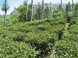  Land for sale at OOTY TEA ESTATE, Udagamandalam