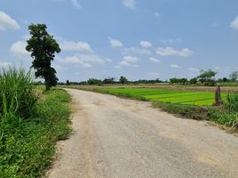  Grundstück zu verkaufen in Mueang Chiang Rai, Chiang Rai, Tha Sut, Mueang Chiang Rai