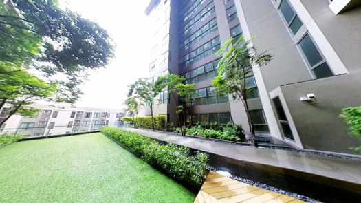 Фото 1 of the Communal Garden Area at Centric Ari Station