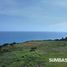  Grundstück zu verkaufen in Sumba Barat, East Nusa Tenggara, Kodi, Sumba Barat, East Nusa Tenggara, Indonesien