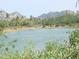  Grundstück zu verkaufen in Sam Roi Yot, Prachuap Khiri Khan, Sam Roi Yot, Sam Roi Yot