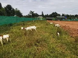  Grundstück zu verkaufen in Nong Han, Udon Thani, Phak Top, Nong Han, Udon Thani