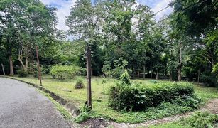 N/A Land for sale in Ban Pong, Chiang Mai 