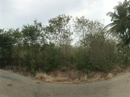  Grundstück zu verkaufen in Tha Ruea, Phra Nakhon Si Ayutthaya, Nong Khanak