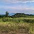  Land for sale in Pong Ta Long, Nakhon Ratchasima, Pong Ta Long, Pak Chong, Nakhon Ratchasima