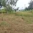  Land for sale in Bueng, Si Racha, Bueng