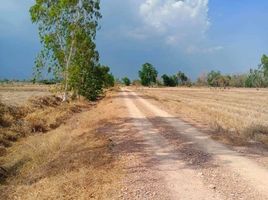  Land for sale in Chai Nat, Den Yai, Hankha, Chai Nat