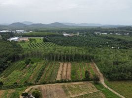  Land for sale in Takua Thung Phangnga, Khok Kloi