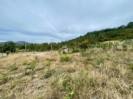  Land for sale in Surat Thani, Maenam, Koh Samui, Surat Thani