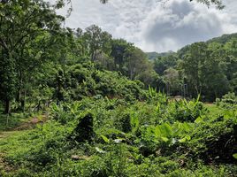  Land for sale in Karon, Phuket, Karon, Phuket Town, Phuket