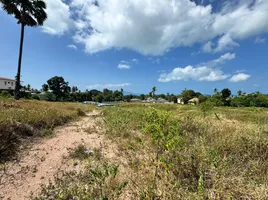  Land for sale in Bo Phut, Surat Thani, Bo Phut