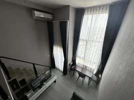 1 Bedroom Condo for rent at Origin Plug & Play Ramkhamhaeng Triple Station, Hua Mak, Bang Kapi, Bangkok, Thailand