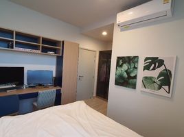 2 Bedroom Condo for sale at XT Ekkamai, Khlong Tan Nuea