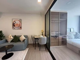 1 Bedroom Condo for rent at THE BASE Bukit, Wichit, Phuket Town, Phuket