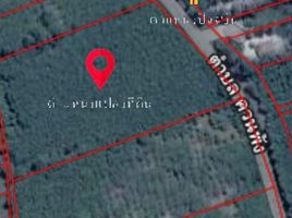  Land for sale in Ron Phibun, Nakhon Si Thammarat, Khuan Phang, Ron Phibun