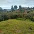  Grundstück zu verkaufen in Guarne, Antioquia, Guarne