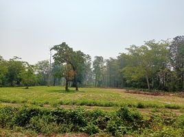  Grundstück zu verkaufen in Prang Ku, Si Sa Ket, Sawai, Prang Ku, Si Sa Ket