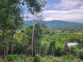  Land for sale in Thailand, Taling Ngam, Koh Samui, Surat Thani, Thailand