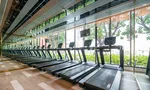 Communal Gym at The Privacy Rama 9 