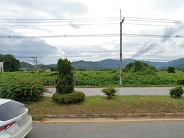  Grundstück zu verkaufen in Mueang Chiang Rai, Chiang Rai, Nang Lae