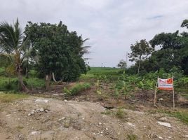  Land for sale in Huai Pong, Mueang Rayong, Huai Pong