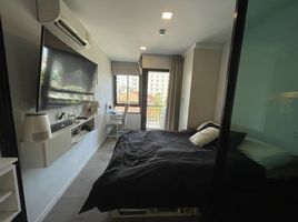 Studio Appartement zu verkaufen im Pause Sukhumvit 103, Bang Na
