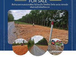  Land for sale in Nakhon Si Thammarat, Tha Ngio, Mueang Nakhon Si Thammarat, Nakhon Si Thammarat