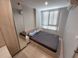 1 Bedroom Condo for rent at Nue Noble Srinakarin - Lasalle, Samrong Nuea, Mueang Samut Prakan