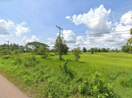  Land for sale in Nakhon Phanom, Fang Daeng, That Phanom, Nakhon Phanom