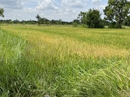  Land for sale in Si Mum, Mueang Nakhon Ratchasima, Si Mum