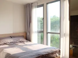 1 Bedroom Apartment for rent at Moniiq Sukhumvit 64, Bang Chak, Phra Khanong