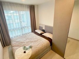 1 Schlafzimmer Wohnung zu vermieten im Niche ID Sukhumvit 113, Samrong Nuea, Mueang Samut Prakan