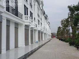 4 Schlafzimmer Villa zu verkaufen in Hong Bang, Hai Phong, Thuong Ly, Hong Bang, Hai Phong
