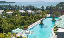 Фото 3 of the Communal Pool at Calypso Garden Residences